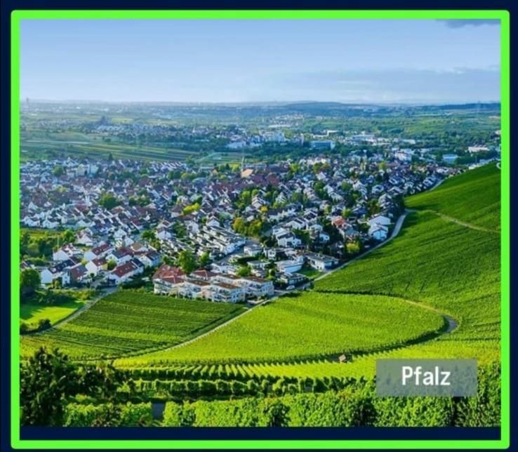 Ferienwohnung Forest & Wein Neustadt an der Weinstraße Chambre photo